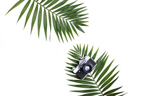 Palm leaves and old photo camera isolated on white background. Flat lay travel concept.の写真素材