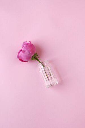 Rose flower in glass on pink background. Floral pattern composition. Flat lay, top view minimal concept.の写真素材