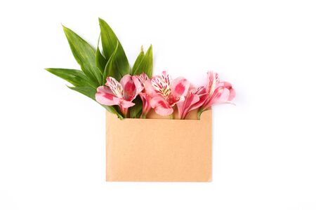 Pink flowers and green leaves in craft envelope. Floral composition flat lay on white background.の写真素材