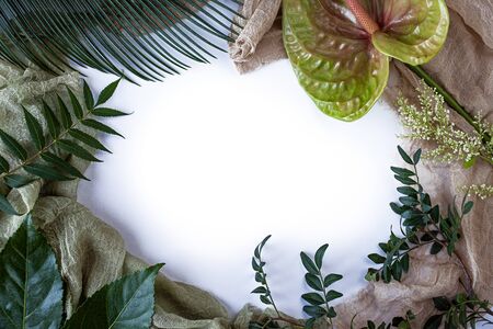 Green tropical leaves, branches frame on white background flat lay. Nature concept.の写真素材