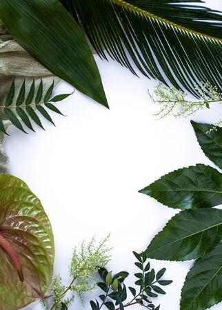 Green tropical leaves, branches frame on white background flat lay. Nature concept.の写真素材