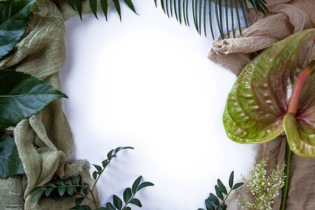 Green tropical leaves, branches frame on white background flat lay. Nature concept.の写真素材