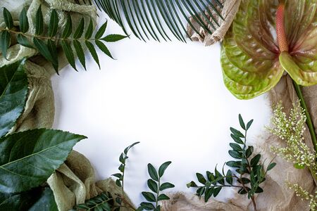 Green tropical leaves branches on white background flat lay.の写真素材