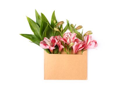 Pink flowers and green leaves in craft envelope. Floral composition flat lay on white background.の写真素材