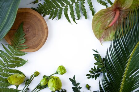 Green tropical leaves, branches, wood on white background flat lay. Nature concept.の写真素材