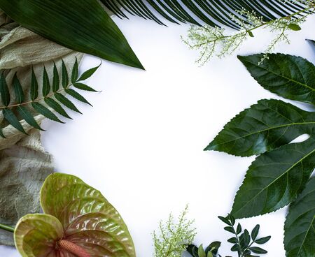 Green tropical leaves, branches frame on white background flat lay. Nature concept.の写真素材