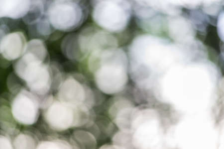 Blur Green Background
