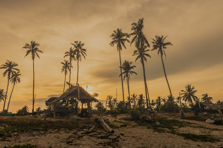 Hut and Coconut tree  on time colorful sunset.の写真素材