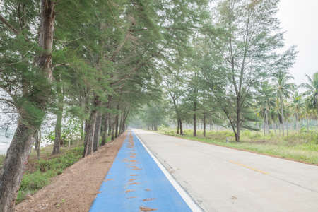 Asphalt road with the bike blue lane.の写真素材
