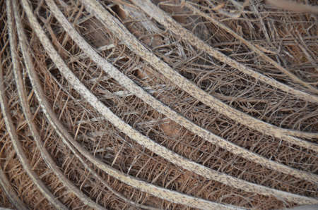 Coconut fiber backgroundsの写真素材
