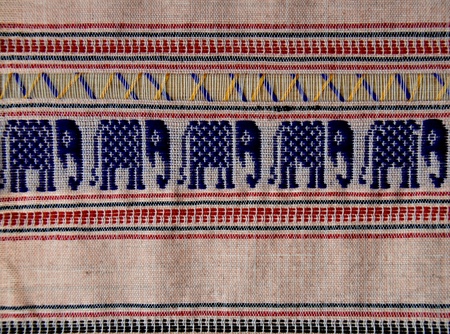 Silk Elephant Backgroundsの写真素材