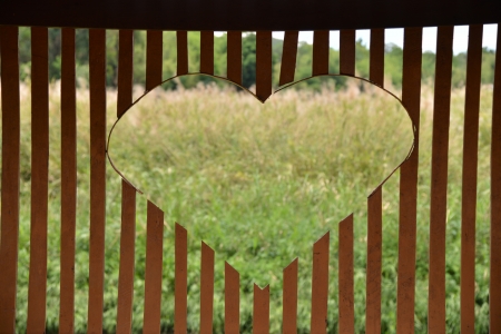 Natural heartの写真素材