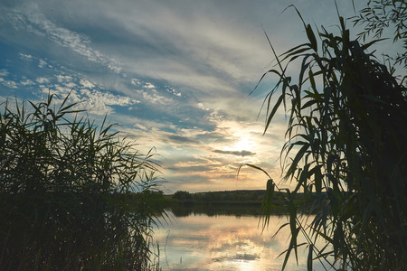 Sunset on the river is visible through the reeds. The sun goes down the horizon.の写真素材