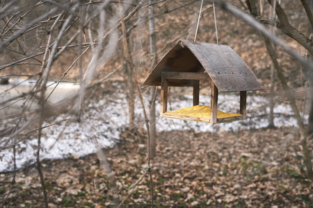 Bird feeder on the background of the spring forest. Brown tone.の写真素材