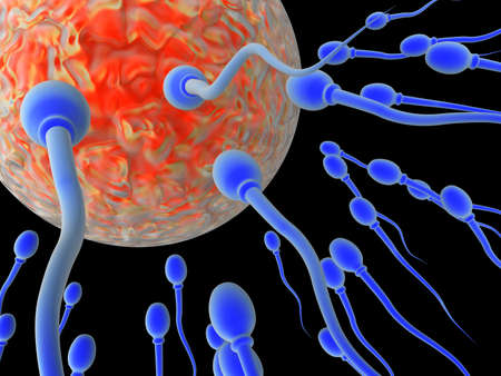 Sperm Attack 