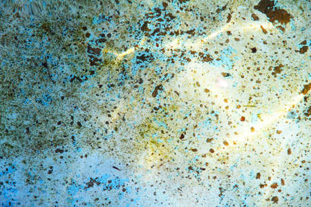 Beautiful light caustics effects in the water. 