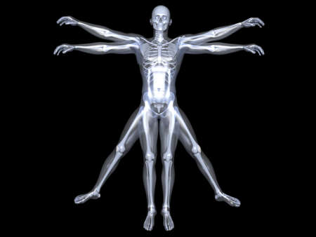 3d rendered interpretation of the famous Leonardo DaVinci sketch. Isolated on black.の写真素材