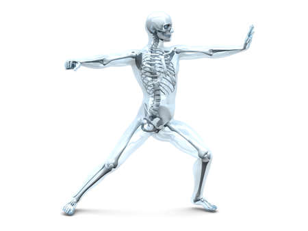 A medical visualisation of human anatomy. 3D rendered Illustration. Isolated on white.