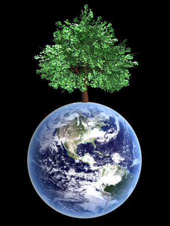Symbol of environment and ecology  A world with trees  3D rendered Illustration の写真素材