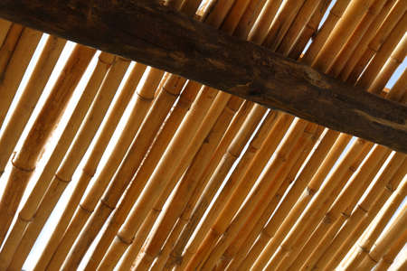 A bamboo roof against the sky の写真素材