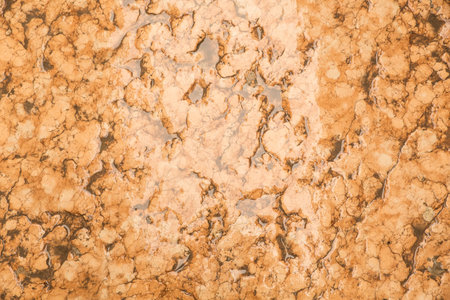 Background of a wet rock.の写真素材