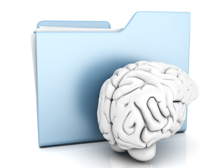 Brain and a Folder. 3D illustration.の写真素材