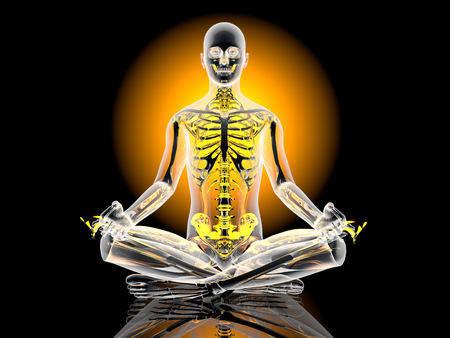 The padmasana - Lotus seat - pose. 3D Illustration.の写真素材