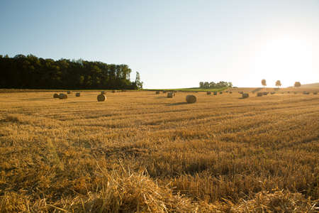 Evening after the Harvest in Bavaria, Germany の写真素材