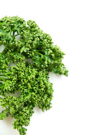 Curled Parsley on a white background.の写真素材