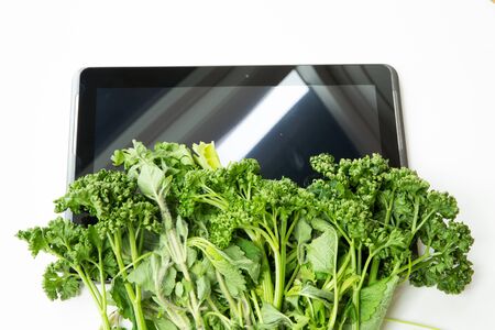 Herbs on a Tablet PC. Looking for information and recipes.の写真素材