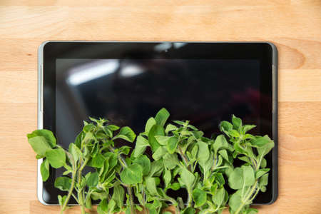 Oregano Herbs on a Tablet PC. Looking for information and recipes.の写真素材