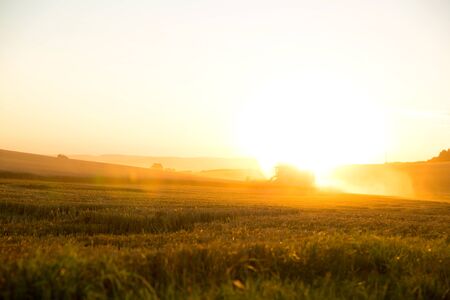 Harvest in the sunset