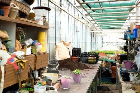 Interior of a garden shop, greenhouseの写真素材