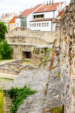 Arrayの写真素材