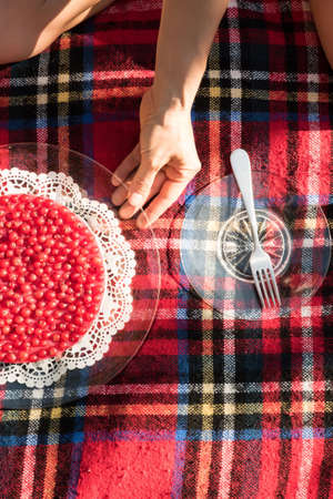 Red currant cake at a picnic in the garden.の写真素材