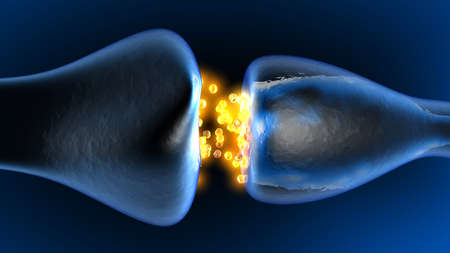 Neurotransmission in the Synapse. 3D rendered animation.