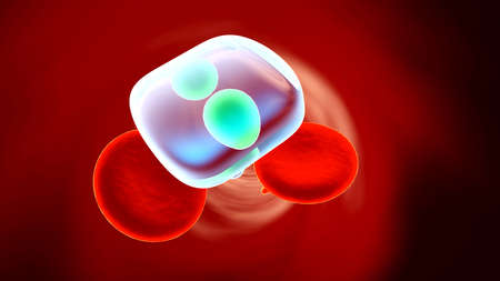 Drug molecules floating in the Bloodstream.