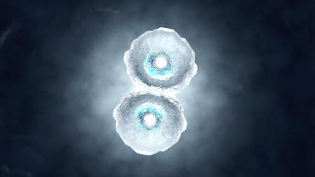 3D rendered illustration of Cell Replicationの写真素材