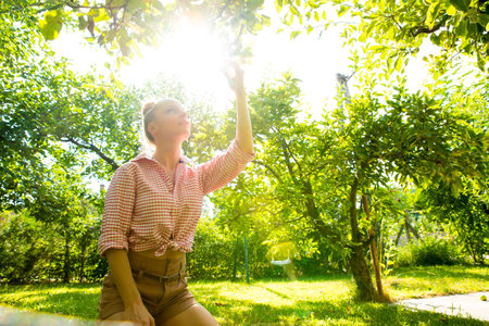 A young woman harvesting organic Apples in her garden