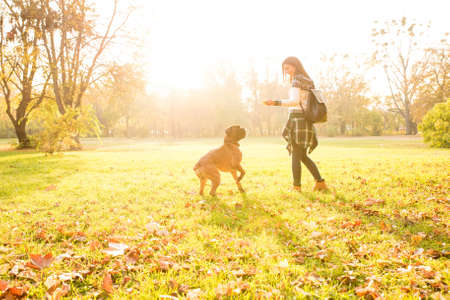 Beautiful young woman playing with her Dog in the forestの写真素材