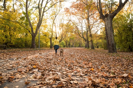 Beautiful young woman playing with her Dog in the forest