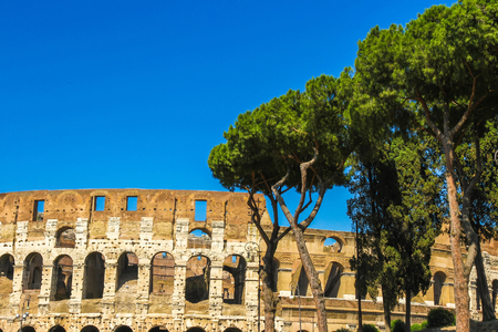 View on the Colosseum in Rome, Italy on a sunny day.の写真素材