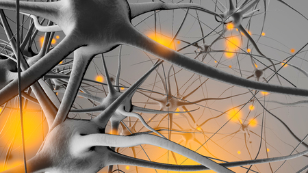 3D rendered Illustration of a biological neural cell network transmitting signals.の写真素材