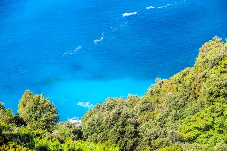 Tropical plants next to the Mediterranean Seaの写真素材