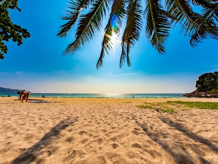 PHUKET, THAILAND - CIRCA MARCH 2018: View of the amazing sunset on the beach of Surin with palm leaves in the foreground circa March, 2018 in Phuket, Thailand.のeditorial素材