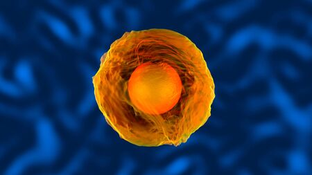 3D Illustration of a living cell.