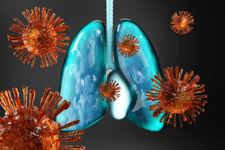 3D Illustration of the Coronavirus infecting, inflaming and attacking the human lungs and heart.の写真素材