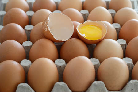 An egg cracked open in half with the yolk on right and eggshell on left on a tray of eggs