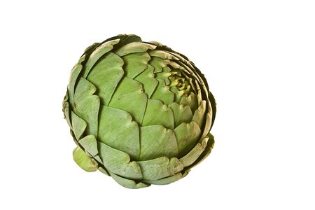 Artichoke isolated on whiteの写真素材