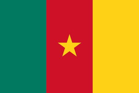 Sovereign state flag of country of Cameroon in official colors.の写真素材